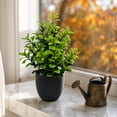 thumbnail image 5 of Linnome Artificial Green Plants Potted Fake Foliage Shrubs with Dark Pots Mini Faux Greenery for Desk Shelf Indoor Home Tabletop Decor, 5 of 7