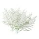 thumbnail image 4 of 20 piezas de ramas de nieve de Norfolk para Navidad, agujas de árbol, pequeñas ramitas de Norfolk para mesa de exterior, 4 of 9