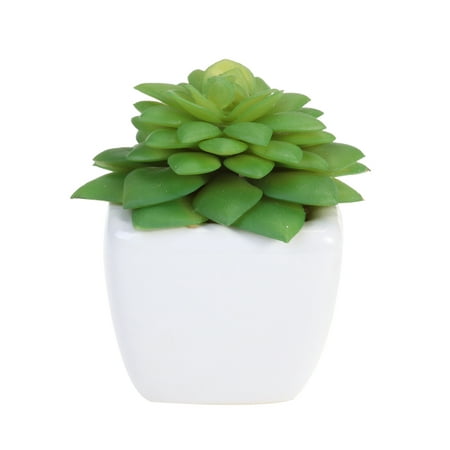 

NUOLUX Cube Modern Potted Green Artificial Succulent Plants Mini Fake Flower Pot for Indoor Outdoor Decor (Alocasia)