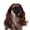 brown, variant on Pet wig, cat and dog wig, fun role-playing pet headwear, dog and cat wig with adjustable elastic band, suitable for pet dog and cat holiday party role-playing costumes