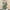 Green, variant on Fnooota Womens Winter Vests, Drawstring Thermal Sleeveless Lapel Outerwear Cardigans Gray Size S