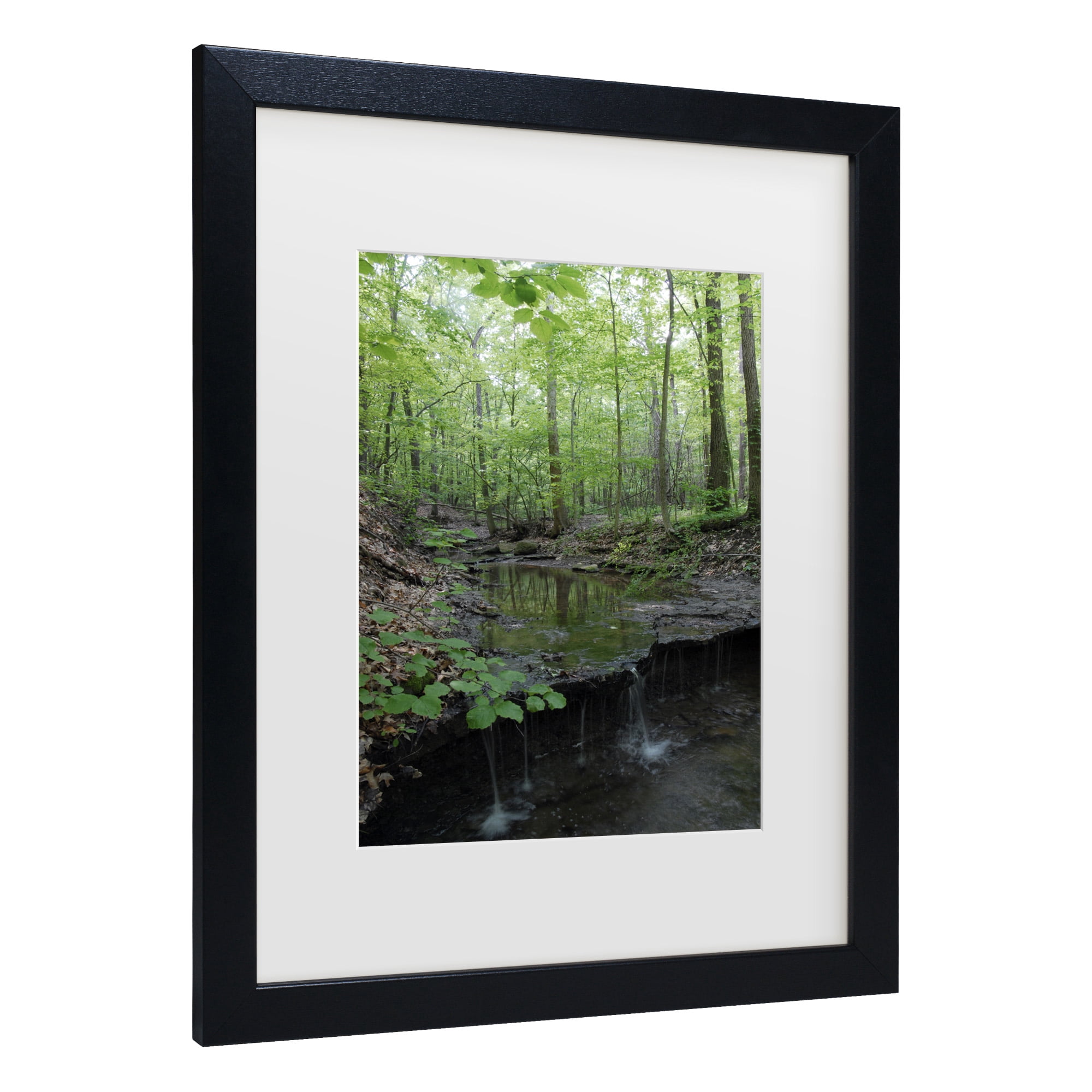 Trademark Fine Art 'Tiny Forest Falls' Canvas Art by Kurt Shaffer