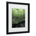 thumbnail image 2 of Trademark Fine Art 'Tiny Forest Falls' Canvas Art by Kurt Shaffer, 2 of 4