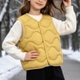 thumbnail image 4 of BLVB Toddler Puffer Vest Boys Girls down Vest Warm Fall Winter Jacket Lightweight Sleeveless Button down Coat for Kids(Yellow,3-4 Years), 4 of 9