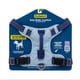 thumbnail image 1 of Arnés para perro PetSafe Easy Walk Comfort antitirones, talla grande, azul, 1 of 8