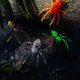 thumbnail image 5 of Cebo de pesca biónico marrón, Kit completo de aparejos con anzuelo, Natación dura y blanda, Mejoras para la pesca en agua salada, Juguete de natación artificial realista de araña, 5 of 5