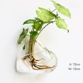 thumbnail image 3 of Wall Hanging Planter Modern: 2PCS Decorative Glass Planter Flower Vase Plant Pot, 3 of 10
