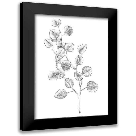 Scarvey, Emma 12x14 Black Modern Framed Museum Art Print Titled - Eucalyptus Sketch IV