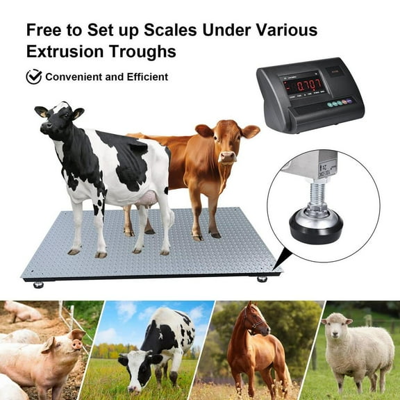 Precision Livestock Scale - 10000 lb Capacity Floor Scale Kit with 4 Two-Ton Sensors for Cattle, Sheep, Horses - Heavy-Duty Pallet Scale for Farming