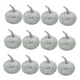 thumbnail image 2 of 12 piezas de calabaza artificial de otoño, modelos de calabaza , decoración rústica de calabaza para Acción de Gracias, de otoño, plata BLESIY Mini Calabaza De Espuma, 2 of 8