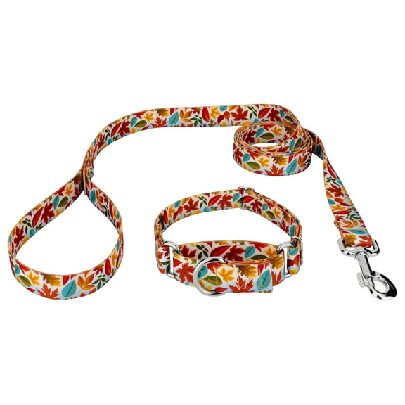 Country Brook Petz® Brisk Autumn Martingale Dog Collar and Leash, Large