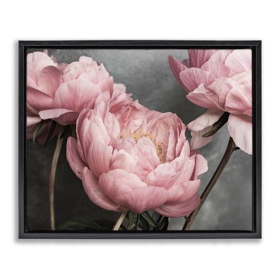 Stupell Industries Shabby Chic Black Floating Frame Canvas Art, 21 x 17, by Sisi and Seb