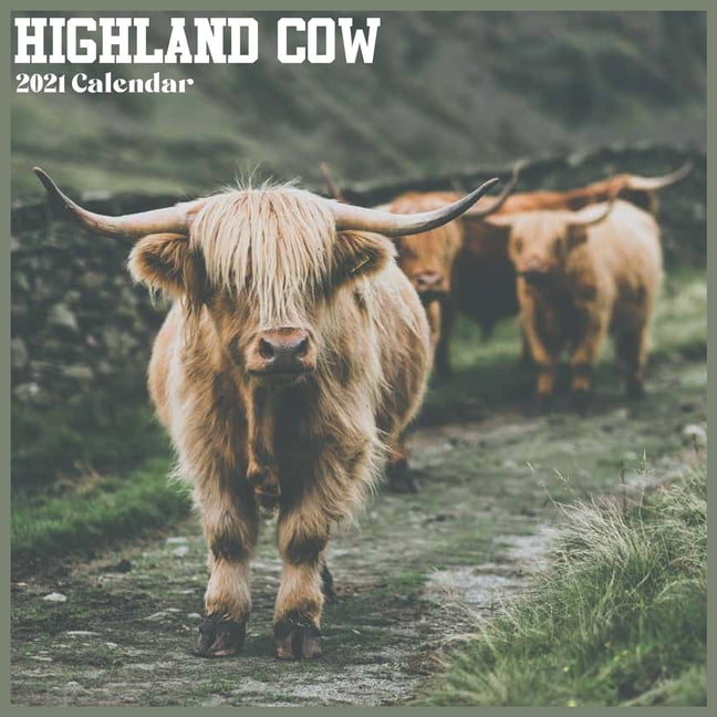Cows 2021 Calendar Cows 2021 Calendar