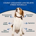 thumbnail image 2 of Animal Essentials Tranquility Blend Gotas Calmantes 30 ml, 2 of 8