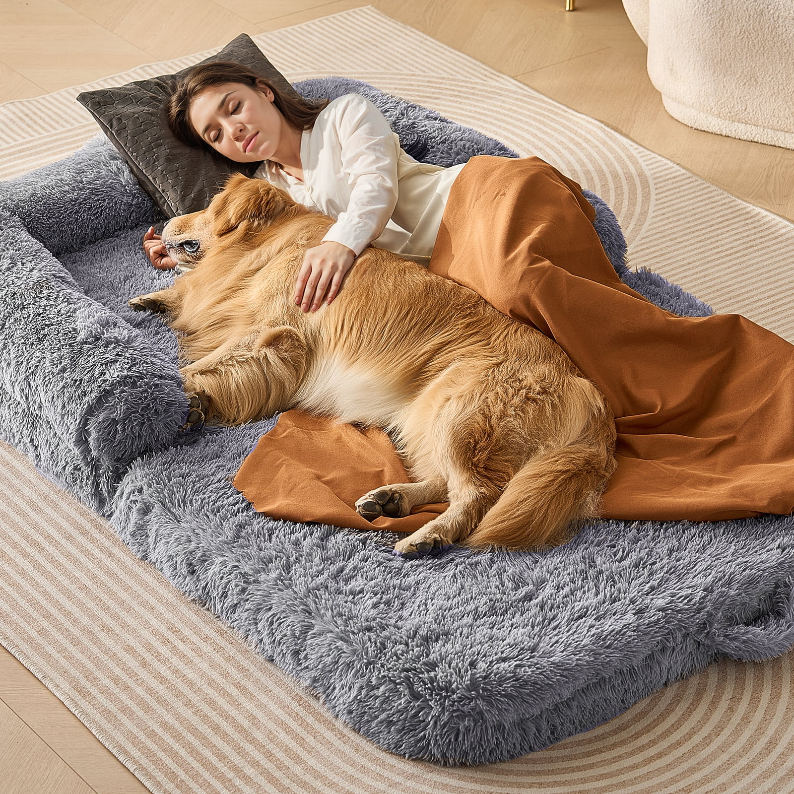 Mini human bed for dogs discount