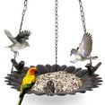 thumbnail image 2 of sruoe Bird Feeder, Hanging Bird Feeder Tray, Bird Feeders Outdoor, Cardinal Bird Feeder, Hopper Feeder, Small Large Bowl Wild Bird Feeders for Garden Decor, Iron, 2 of 7