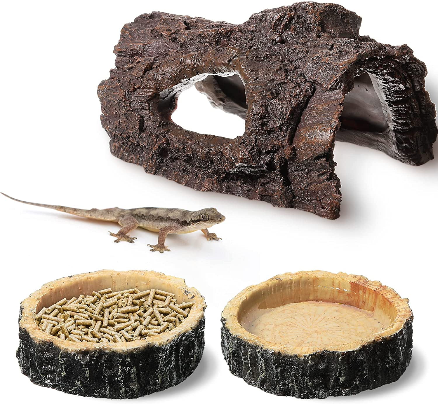 bearded dragon food dish