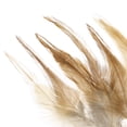 thumbnail image 4 of Unique Bargains 5-6 Inch Rooster Feathers, 200 Pack Bulk Natural Feathers for Crafts Style 2, Light Brown, 4 of 5