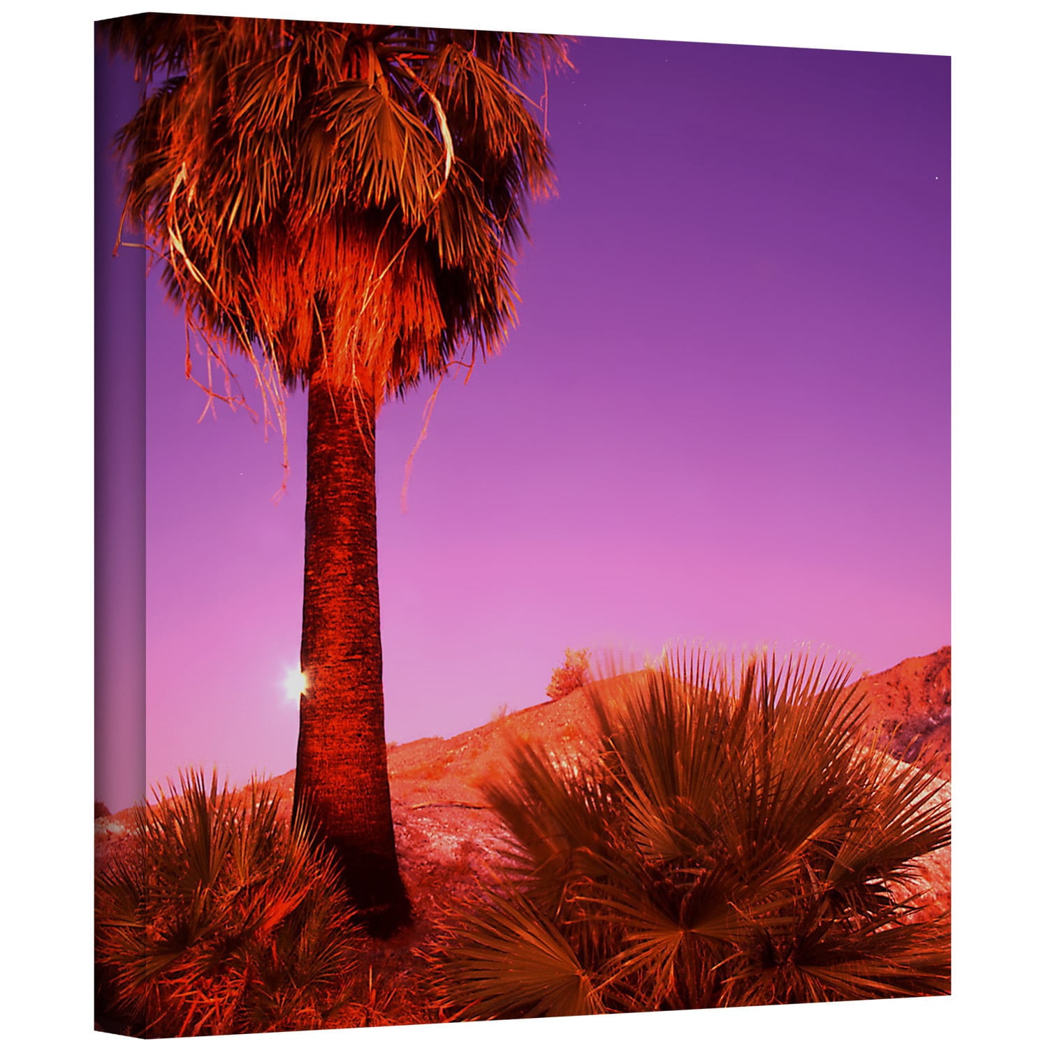 Dean Uhlinger 'Desert Moon ' Gallery-wrapped Canvas