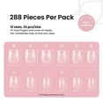 thumbnail image 3 of Gel para uñas con forma de escarabajos, extracorto, cuadrado, 288 unidades, +12 tamaños, 3 of 8