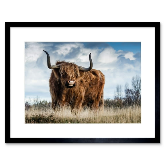 Scottish Highland Cow/Coo Framed Wall Art Print