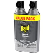 Raid Outdoor Wasp & Hornet Insecticide Value Pack, 14 oz., 2 Count