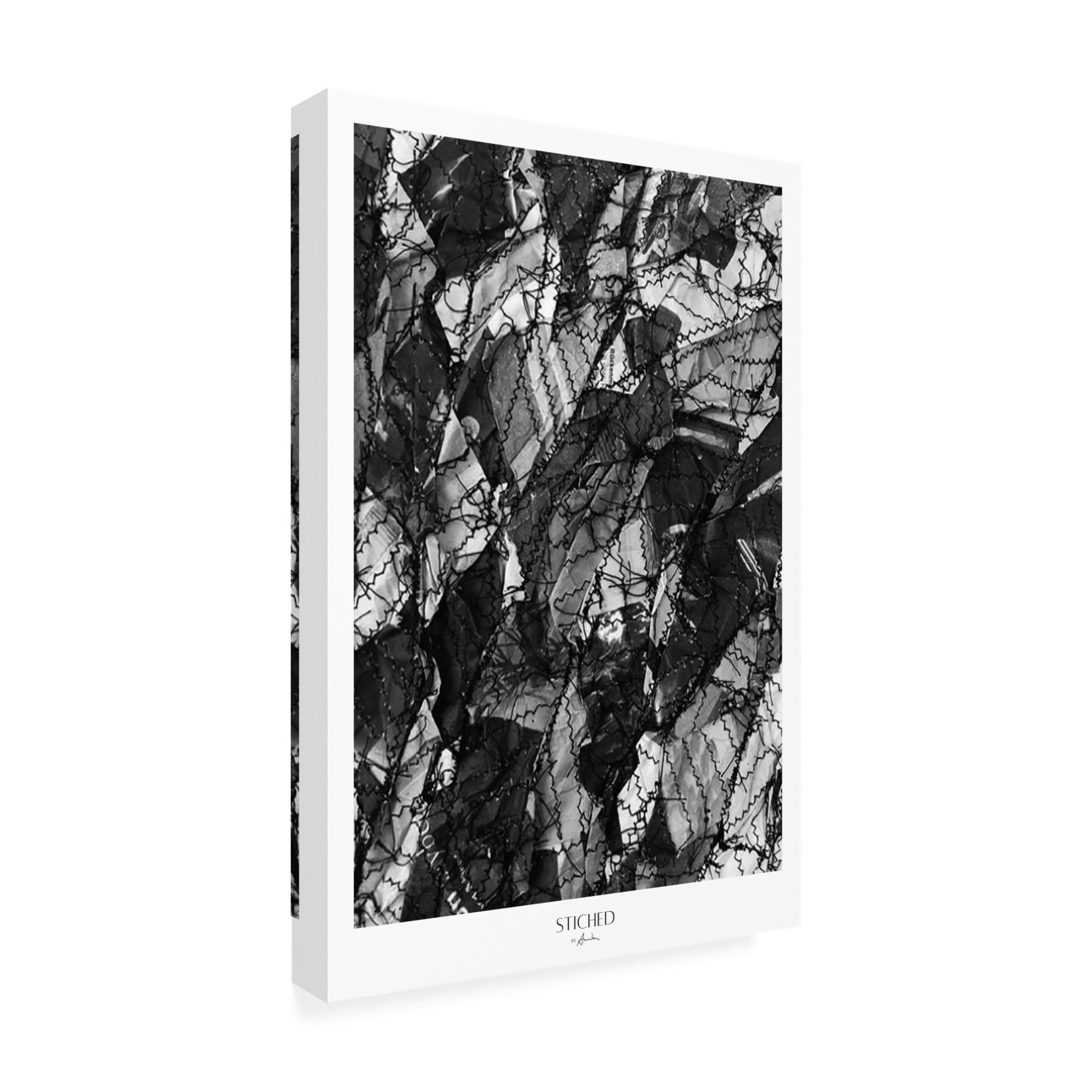 Trademark Fine Art Annika John Stitched Canvas Wall Art