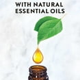 thumbnail image 2 of Recharge pour diffuseur d'huile parfumée Air Wick Essential Mist, Eucalyptus, 1 unité, assainisseur d'air, 2 of 9