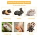 thumbnail image 5 of Toystoory 2 unids/set Animal PEQUEÑO botella para beber materiales duraderos botella fácil de beber para animales pequeños amarillo y verde, 5 of 6