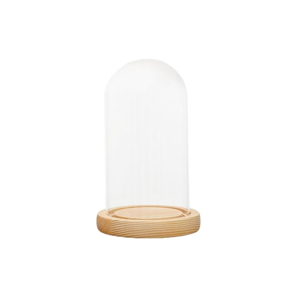 Campana de cristal Campana de cristal Base de madera Mesa Centro de mesa Cúpula Portátil Multiusos 12x28cm