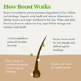 thumbnail image 3 of Reviv3 Procare Biotin for Hair Follicles &acirc; Biotin Hair Growth Complex Protects from UV Rays &acirc; Hair Root Booster for Natural &amp, 3 of 5