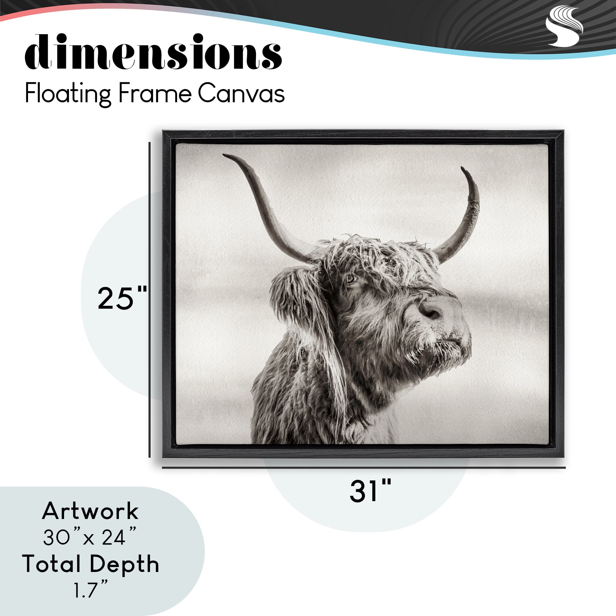 Stupell Industries Horned Highland Cow Gazing Black Framed Floater Canvas Wall Art, design by Julia Frost