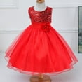 thumbnail image 5 of Uccdo Kids Girls Formal Dresses Flower Girl Sequin Tulle Party Prom Ball Gown Dress 1-10T, 5 of 5