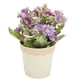 thumbnail image 3 of Planta en maceta con margaritas artificiales, simulación de maceta con margaritas artificiales, maceta con margaritas artificiales, compacta y ligera, 3 of 12