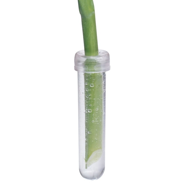 Syndicate Sales 4" Aquatube, Clear, Bag of 100