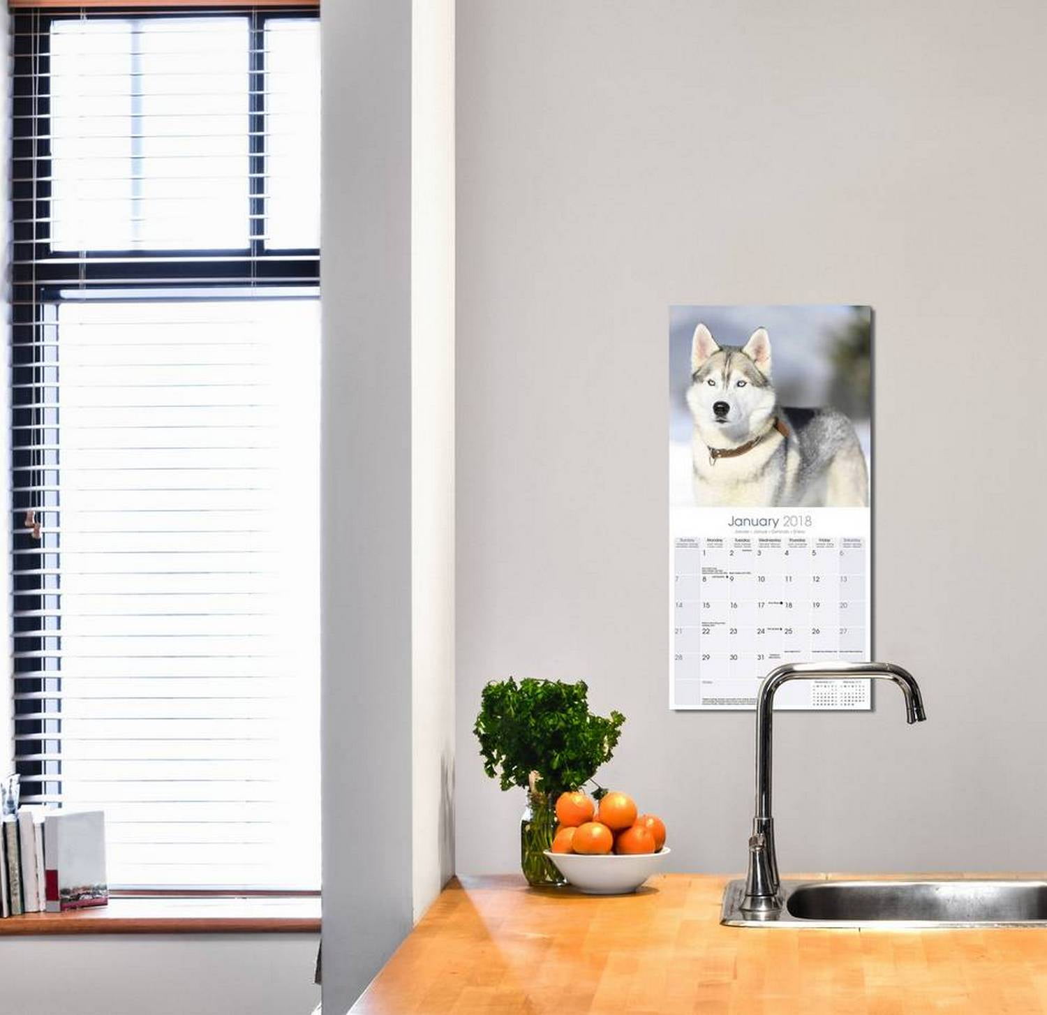 Siberian Husky Calendar 2018 - Dog Breed Calendar - Wall Calendar 2017-2018