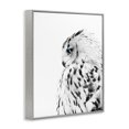 thumbnail image 2 of Stupell Industries Farmhouse Snow Owl Peering Blue Eyes Gray Framed Giclee Art, 16 x 20, by Design Fabrikken, 2 of 7