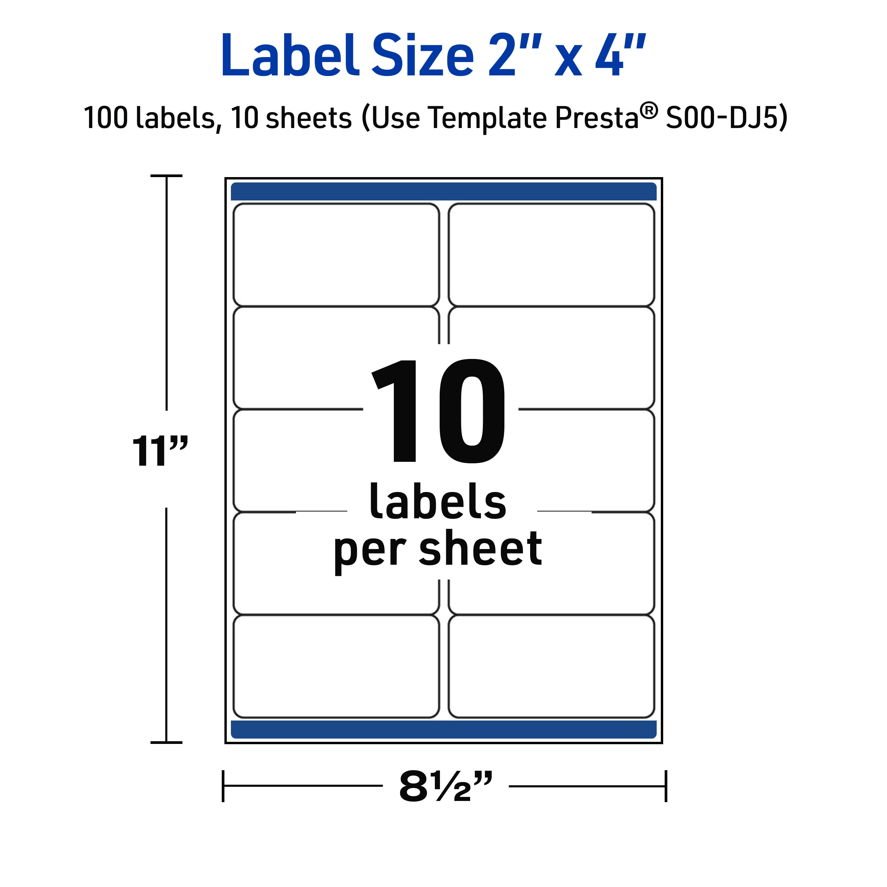 Avery 2" x 4" Labels, Gold Border with Gold Dots, 100 ct, Glossy, Gold Border with Gold Dots