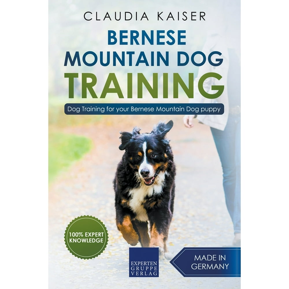 Bernese Mountain Dog Training Dog Training for Your Bernese Mountain