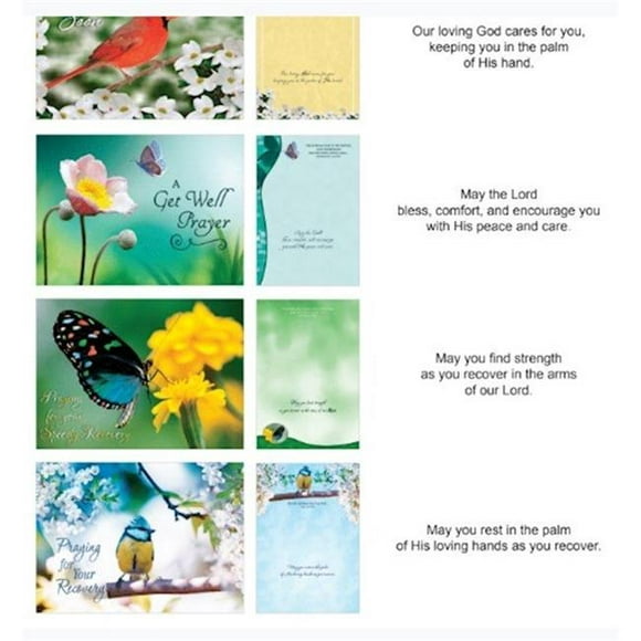 Crown Point Graphics 169552 Bénédictions Partagées Obtenir Bien Oiseaux et Papillons Carte Boîte - 12 par Boîte