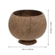 thumbnail image 4 of ColoMX 4pcs taza de copa de coco coco natural taza de postre para servir taza de bebidas, 4 of 7