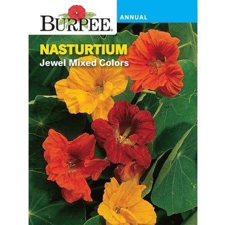 Burpee Jewel Mix Nasturtium, Annual Flower Seed, 1 Pack, Full Sun