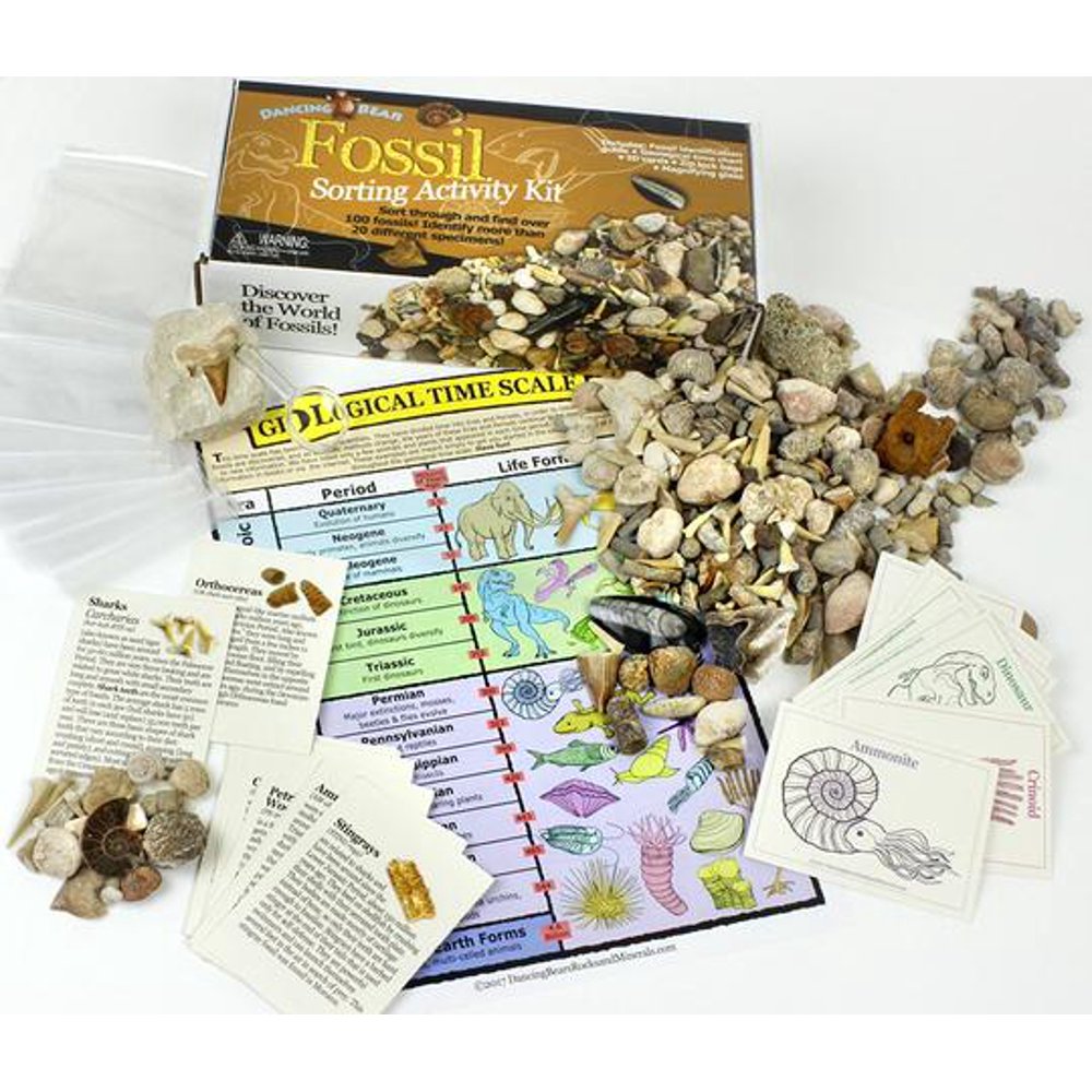 fossil finding kit