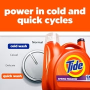 Tide Laundry Detergent Liquid with 6X Boosted Cleaning Power, Spring Meadow Scent, 125 fl oz, 100 Loads