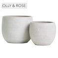 thumbnail image 2 of Olly & Rose Barcelona Ceramic Plant Pot Set 2 - Indoor & Outdoor Planters for Indoors and Outdoor Flower Pots (White), 2 of 7