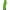 Green, variant on FNFYFH Winter Fleece Coats for Women Zipper Long Sleeve Hooded Jackets Coat Drawstring Long Hoodies Outerwear with Pockets Womens Plus Size Fluffy Coat Blue S-5XL Clearance Deals Today