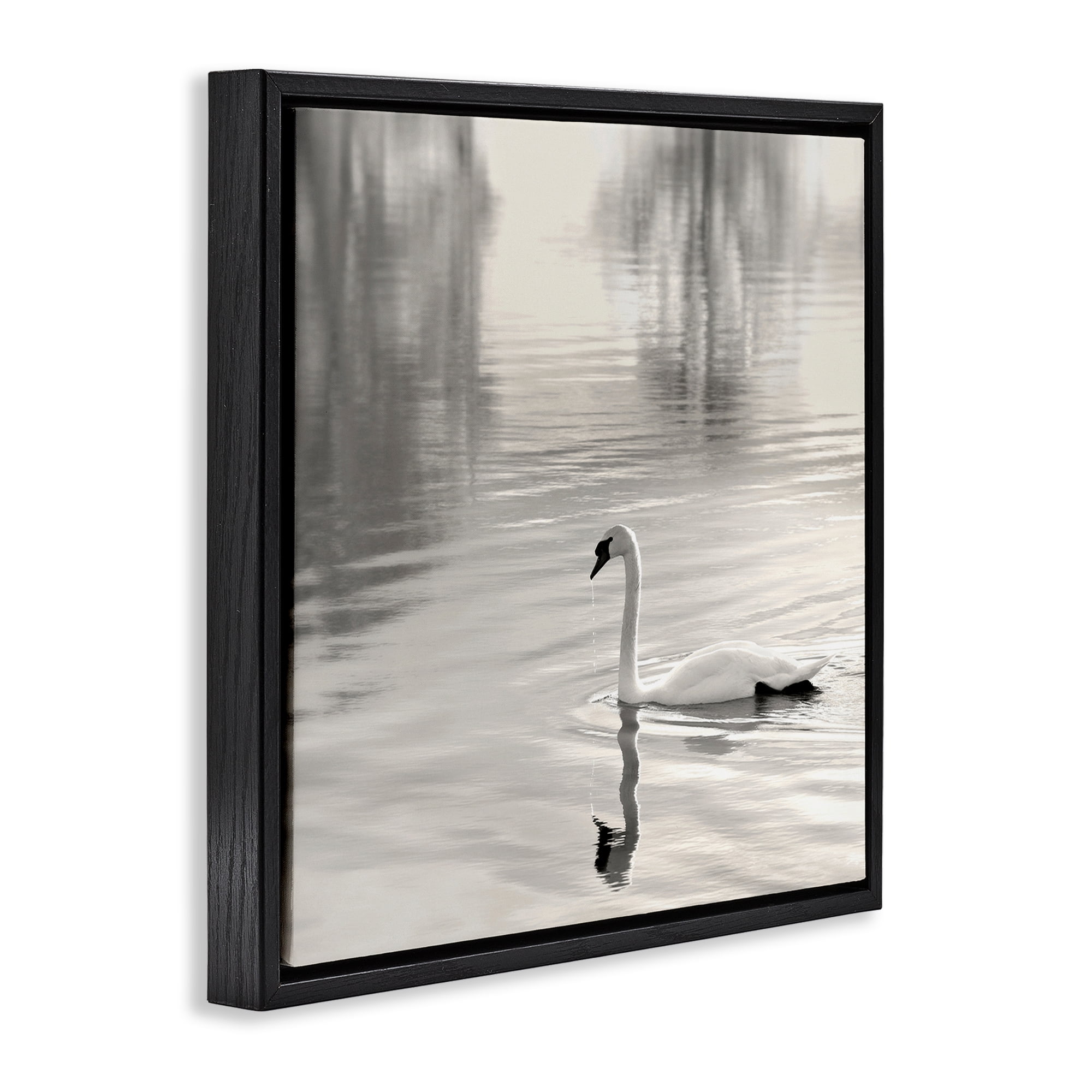 Stupell Industries Morning Sunlit Swan Black Framed Floater Canvas Wall Art, design by Nicholas Bell