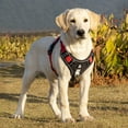 thumbnail image 6 of YMTQ Dog Harness,  no pull Dog Harness, Adjustable Reflective Dog Harness with Handle for Small to Large Dogs, 6 of 9