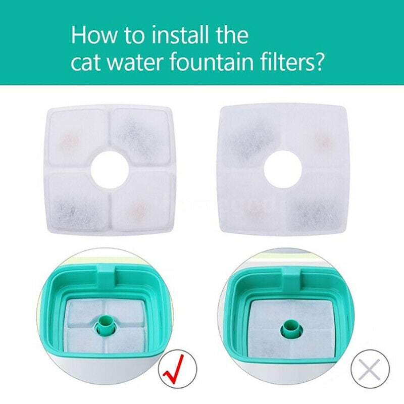 Cat Water Fountain Filter Direction