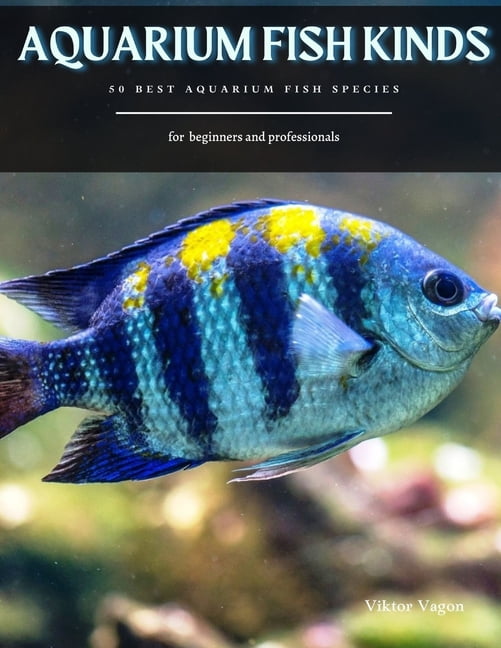 best aquarium shop